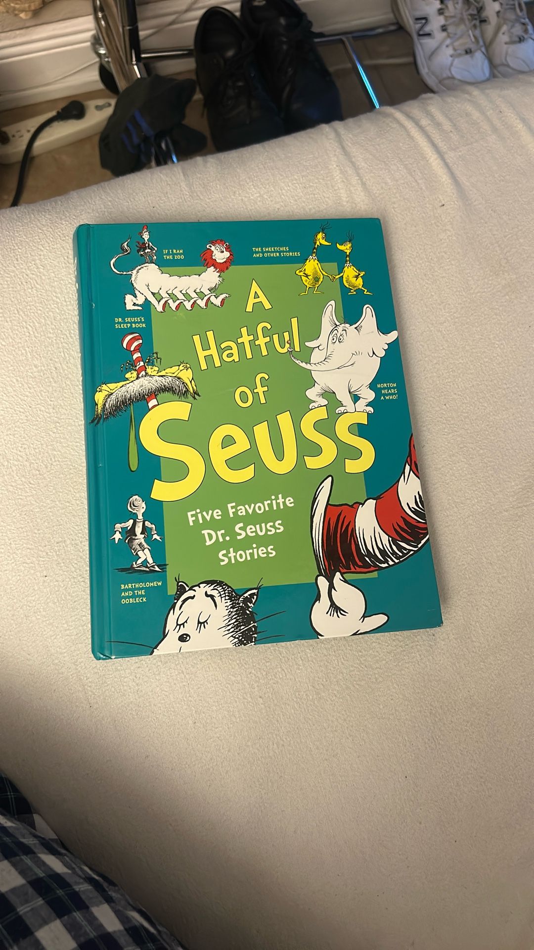 A HATFUL OF SEUSS BOOK CHILDREN