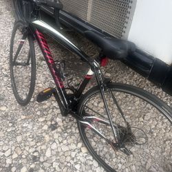 Specialized Bicycle  For Sale