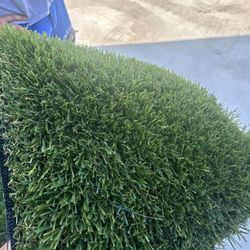Artificial Grass $1.49 Sqf /  750 Sqf Rolls 