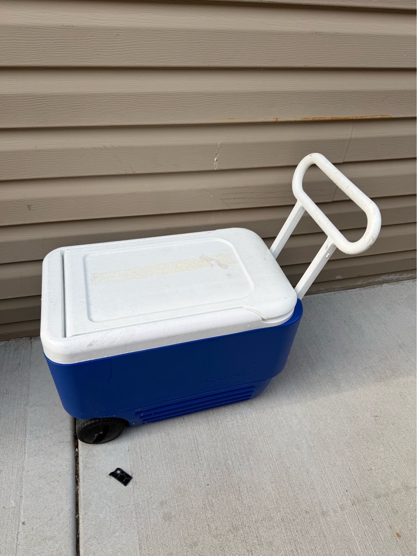 Cooler