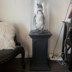 Taxidermy Penguin 