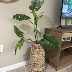 Artificial Plant 