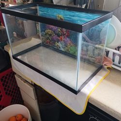 Fish Tank 10 Gallons With Landscape Decoration 