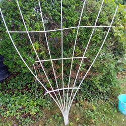 Trellis 