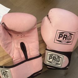 Pink Boxing Gloves 16oz