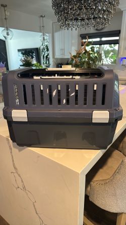 Case for dogs, a small Dog