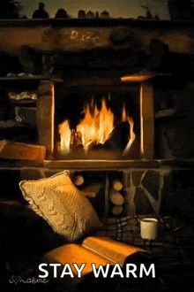 Electric Fire Place Heater
