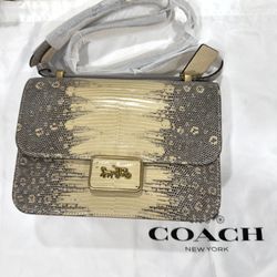 limited edition coach bag