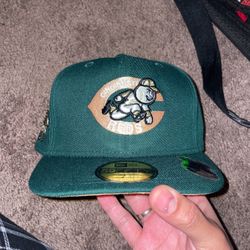 Fitted 