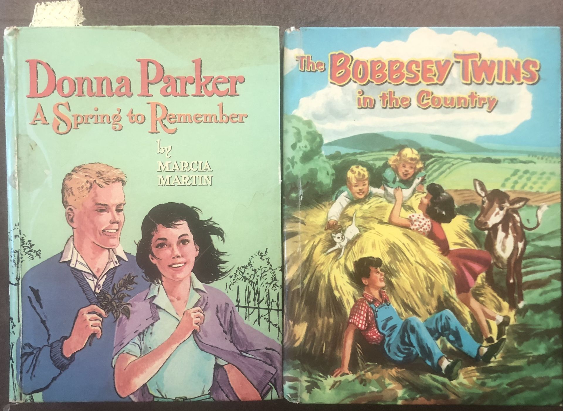 2 Vintage Books-Donna Parker And The Bobby Twins In The Country GC
