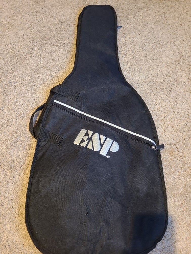 Electric Guitar Gig Bag