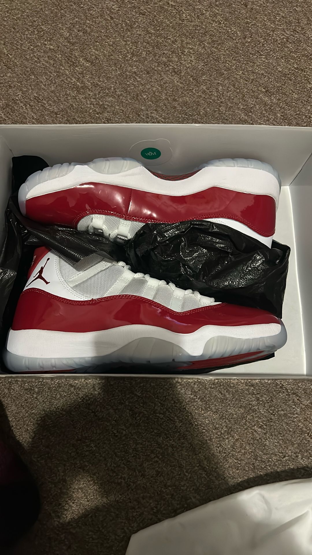 Air Jordan 11 Cherry Size 10. $220