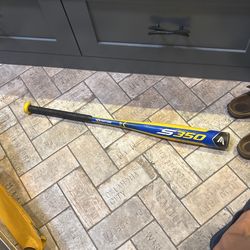 Easton S350 Baseball Bat 30 Inch