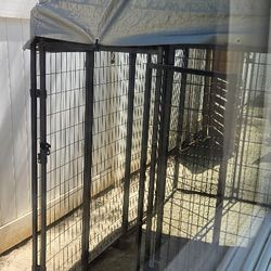 Dog Kennel
