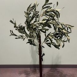 Olive Tree Light