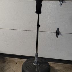 Speed Bag Everlast