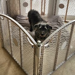 Dog Corral/playpen