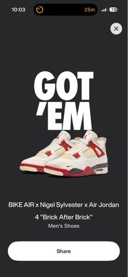 Jordan 4 Bike pair