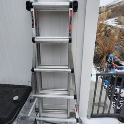 Little Giant Ladder