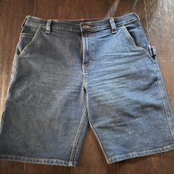 Dickies Shorts 