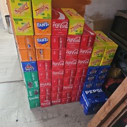12 Pack Sodas 