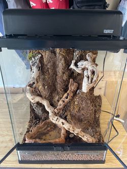 Large Terrarium for Reptiles / Amphibians