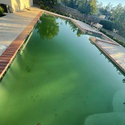 Swimming Pool Vacuum !!