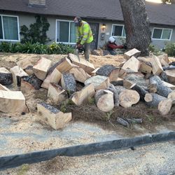 Free Pine Firewood Need It gone Today In Brea 