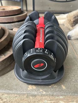 Single Bowflex SelectTech 552 Adjustable Dumbbell