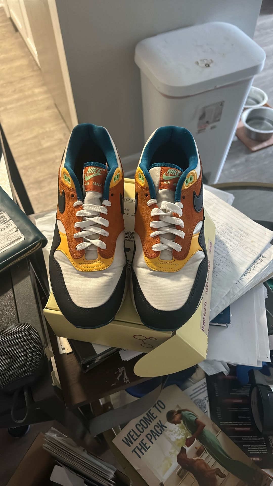 Nike Air Max - Old School