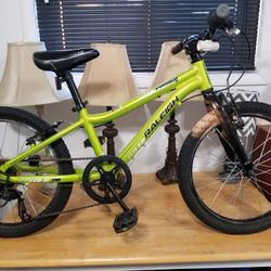 Raleigh Rowdy 16" Bike