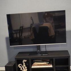 55 Inch Television With Stand