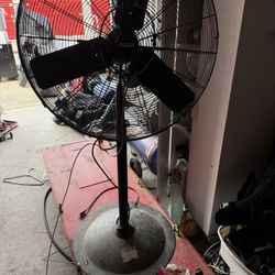 Shop Fan