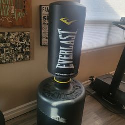 Everlast Pumping Bag