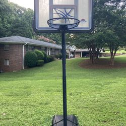 Lifetime Basketball Hoop 