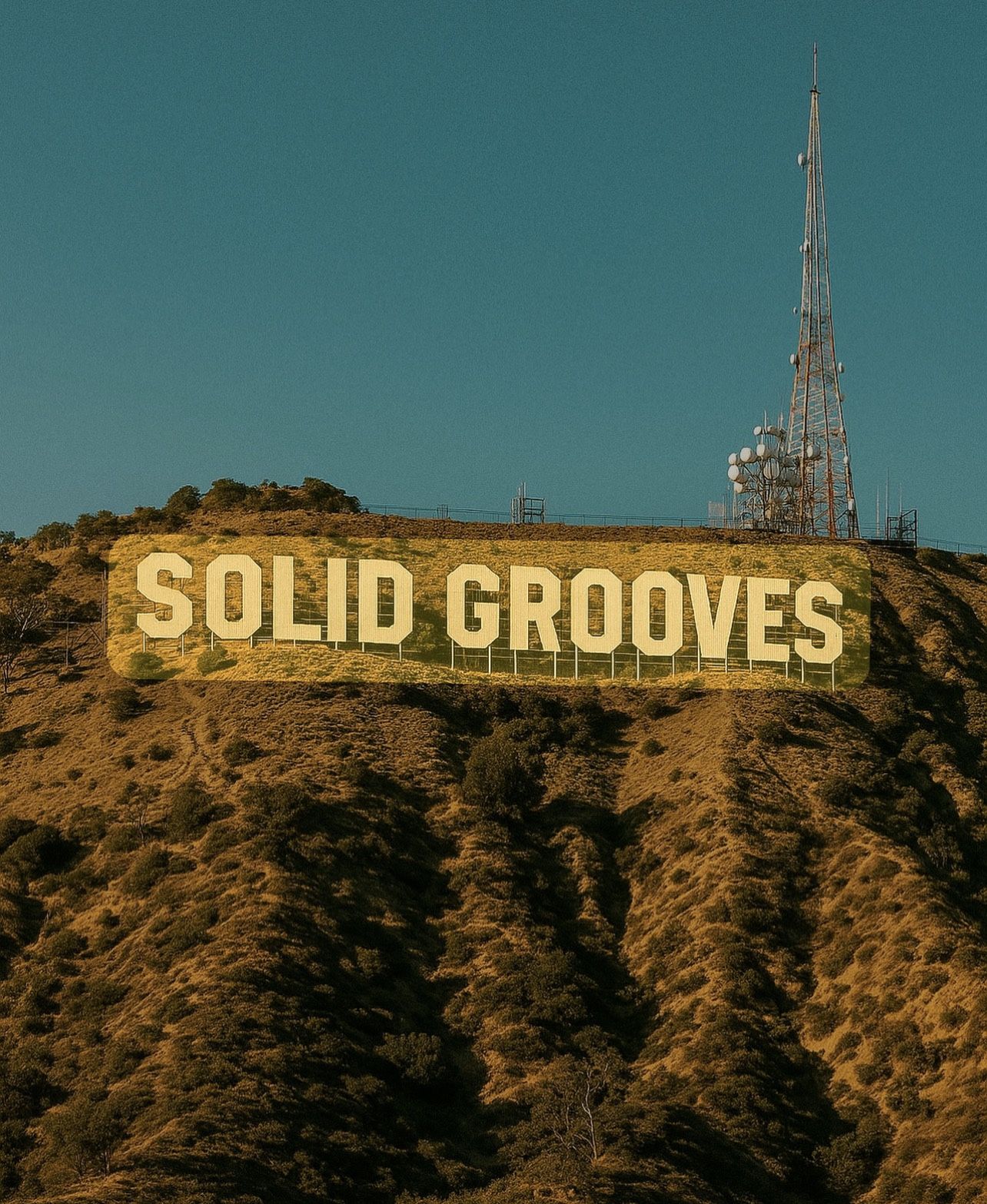 SOLID GROOVES LA