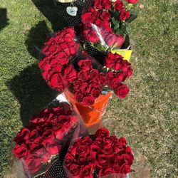 ROSES FOR VALENTINES DAY