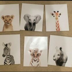 Nursery Decor Animal Prints