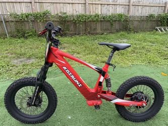 Kids Electric bike with charger