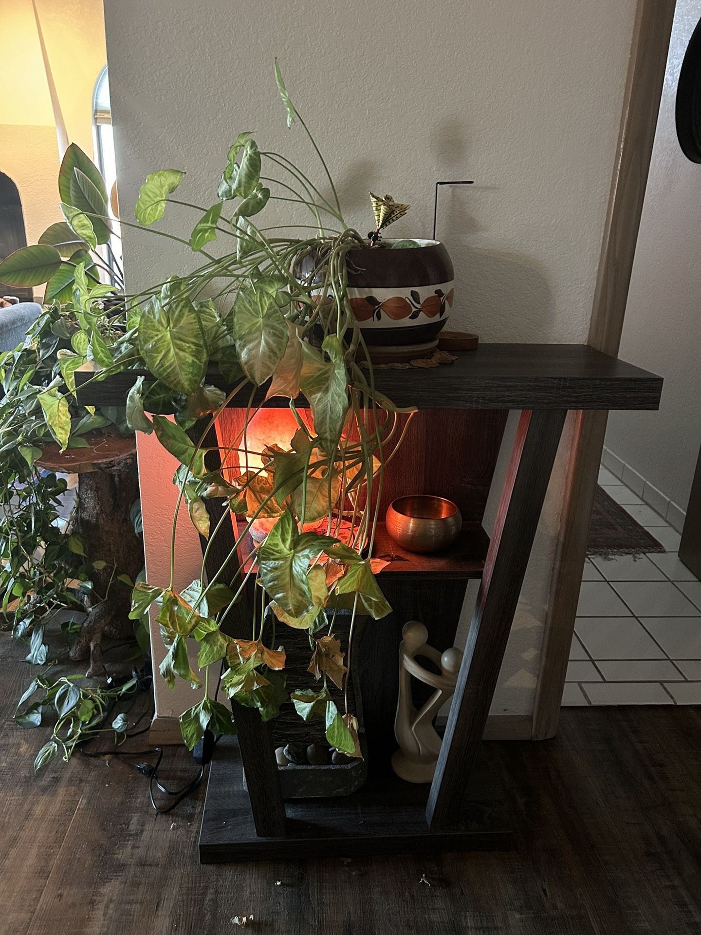 REAL Beautiful PLANT