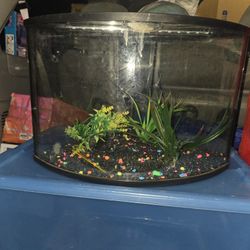 Corner Fish Tank