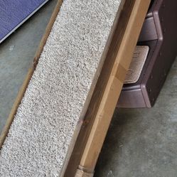 Carpeted Doggy Ramp