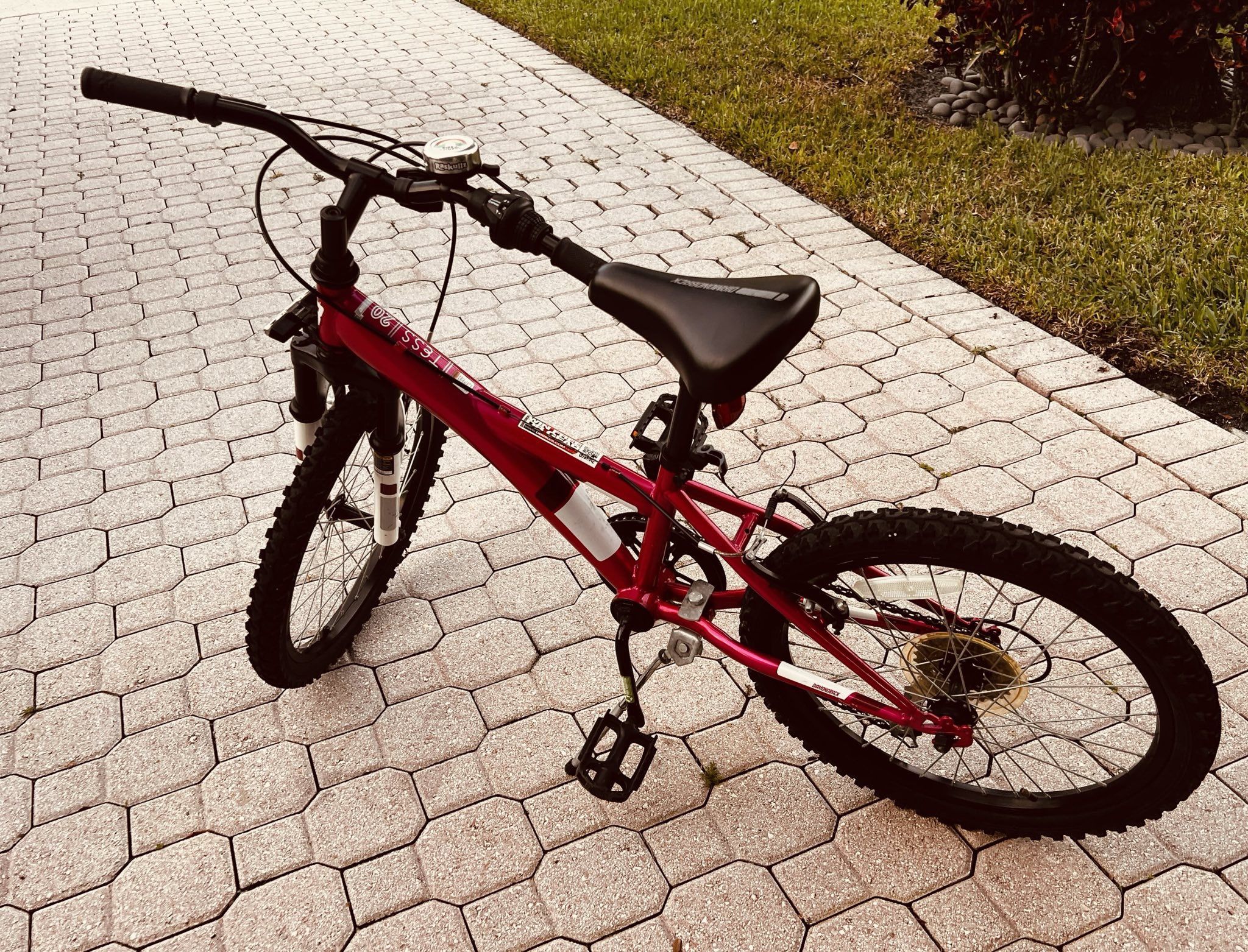 Diamondback Tess 20” Youth Girls Mountain Bike - $50