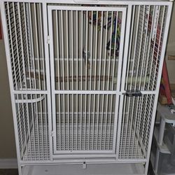 Bird Cage