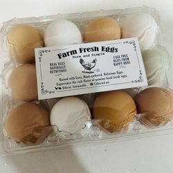 Free Range Organic Eggs