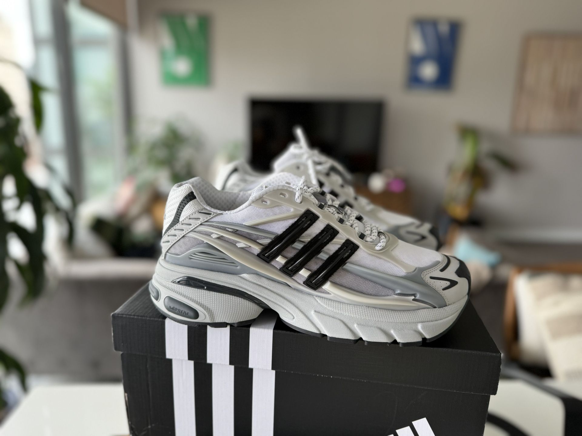 Pharrell x Adidas Jellyfish - Size 10.5