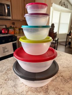 Plastic food storage bowls-6 total