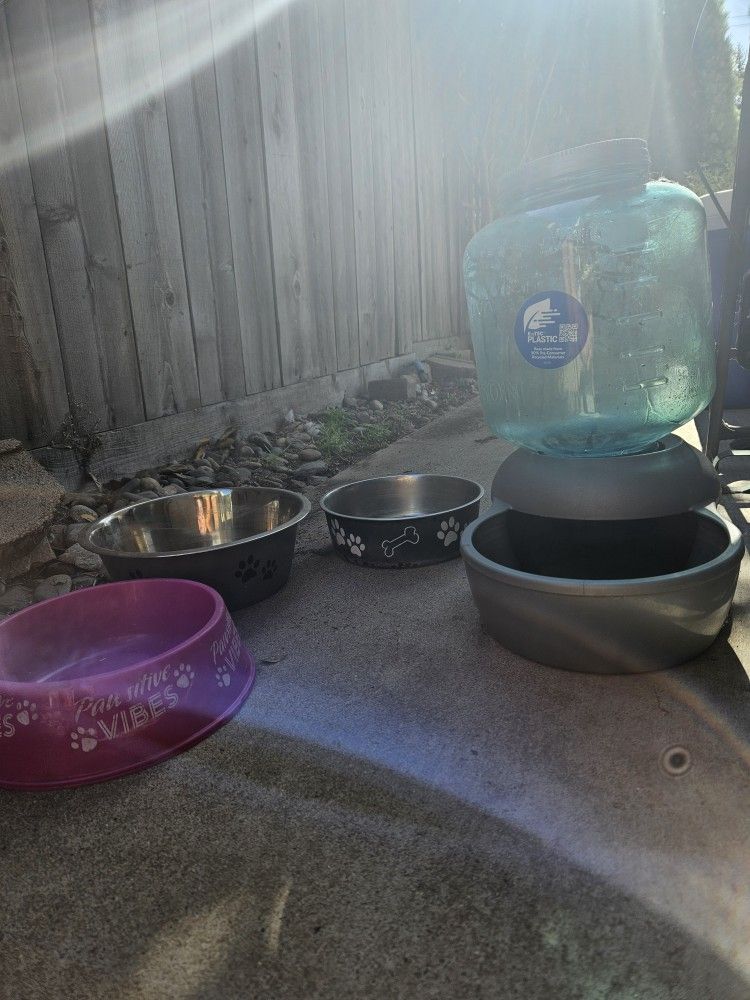 Dog Supplies