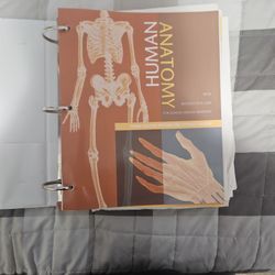 Human Anatomy  Third Custom Edition For Cypress College 