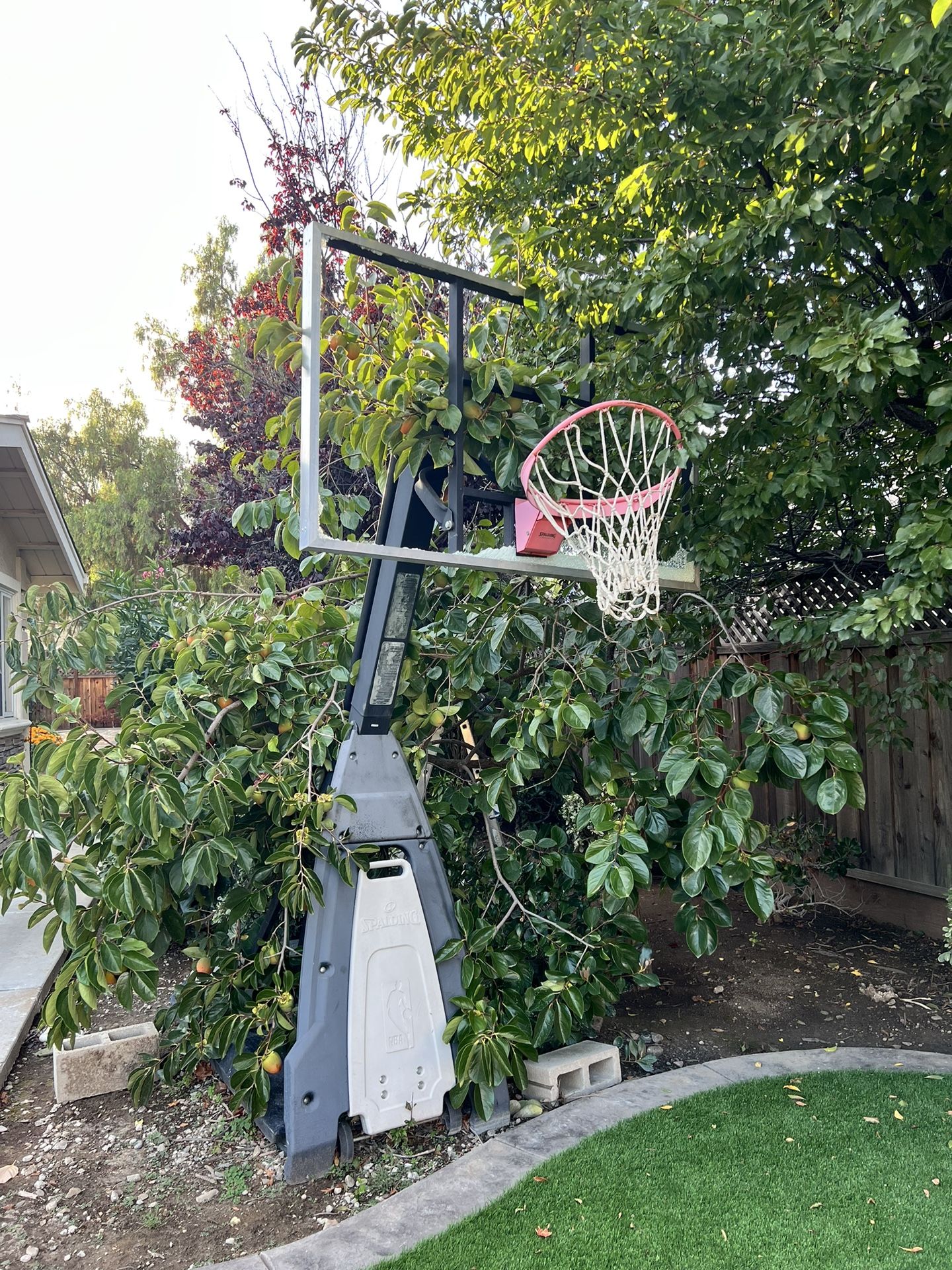 Basketball Hoop